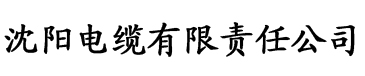 伊人久久大香蕉在线电缆厂logo